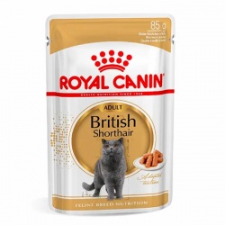 Pate Royal Canin - Adult British Shorthair