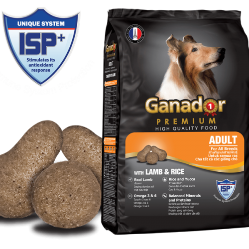 Hạt chó Ganador Premium Adult Lamb & Rice (cừu gạo cam) 400g