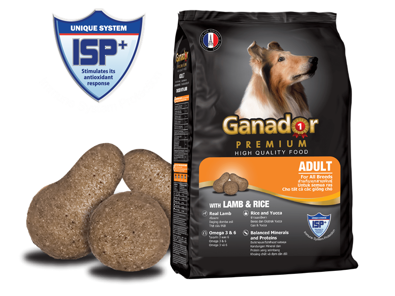 Hạt chó Ganador Premium Adult Lamb & Rice (cừu gạo cam) 1.5Kg