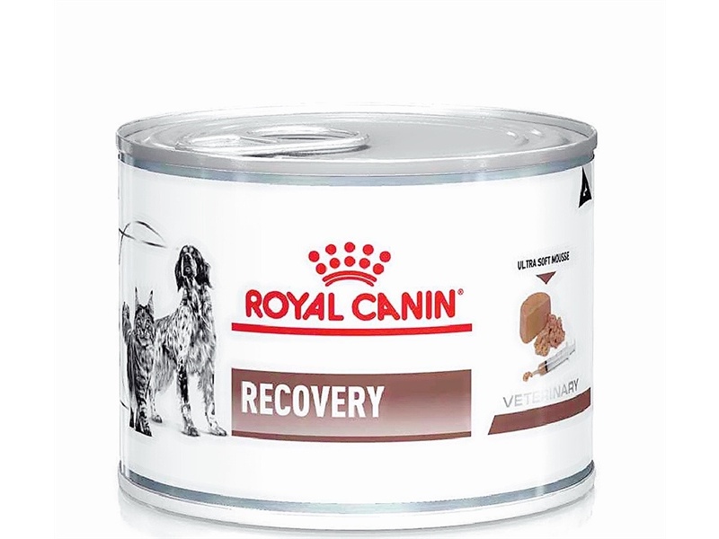 Pate Royal Canin - Recovery