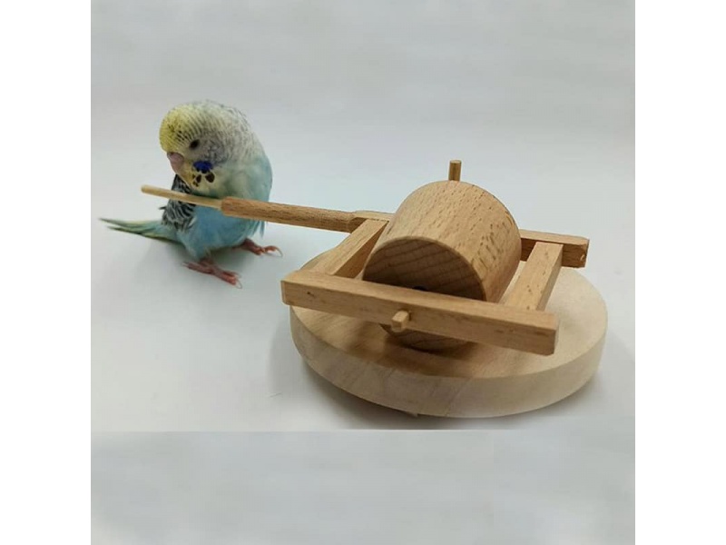 Trò Chơi Xay Gạo Cho Chim/Vẹt, Bird Toy