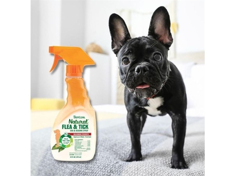 Xịt diệt ve và bọ chét cho chó Natural Flea - Tick Dog | Tropiclean - 473ml - Xịt diệt ve và bọ chét cho chó và ổ chó trên 12 tuần tuổi