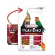 Thức Ăn Cho Vẹt Nutribird G14 Tropical 1kg