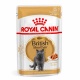 Pate Royal Canin - Adult British Shorthair