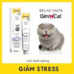 GimCat - Gel dinh dưỡng giảm căng thẳng