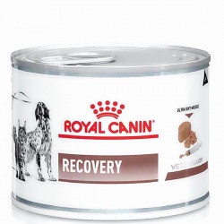Pate Royal Canin - Recovery