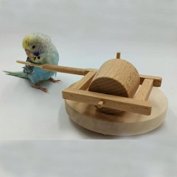 Trò Chơi Xay Gạo Cho Chim/Vẹt, Bird Toy